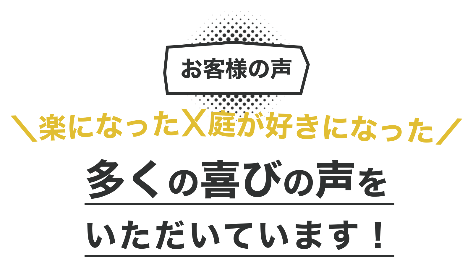 お客様の声